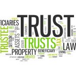 Trust Trust